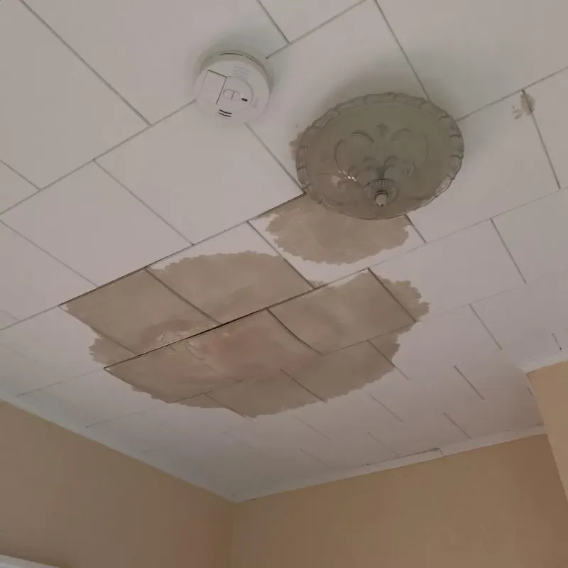 Ceiling Water Damage Repair in Swisher County, TX