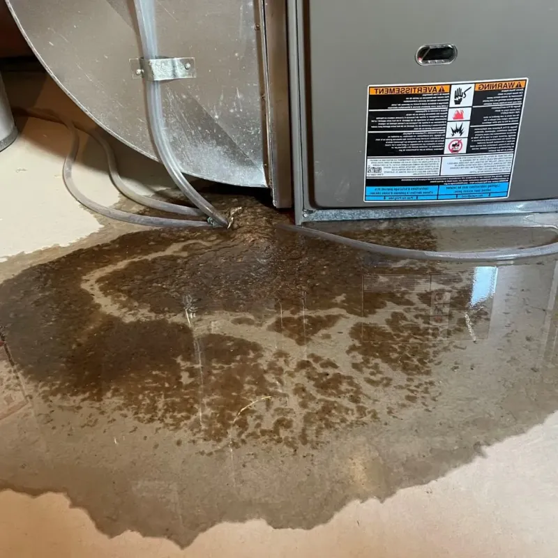 Pipe Burst and Leak Restoration in Swisher County, TX